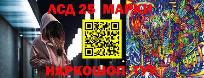 шишки Шахты