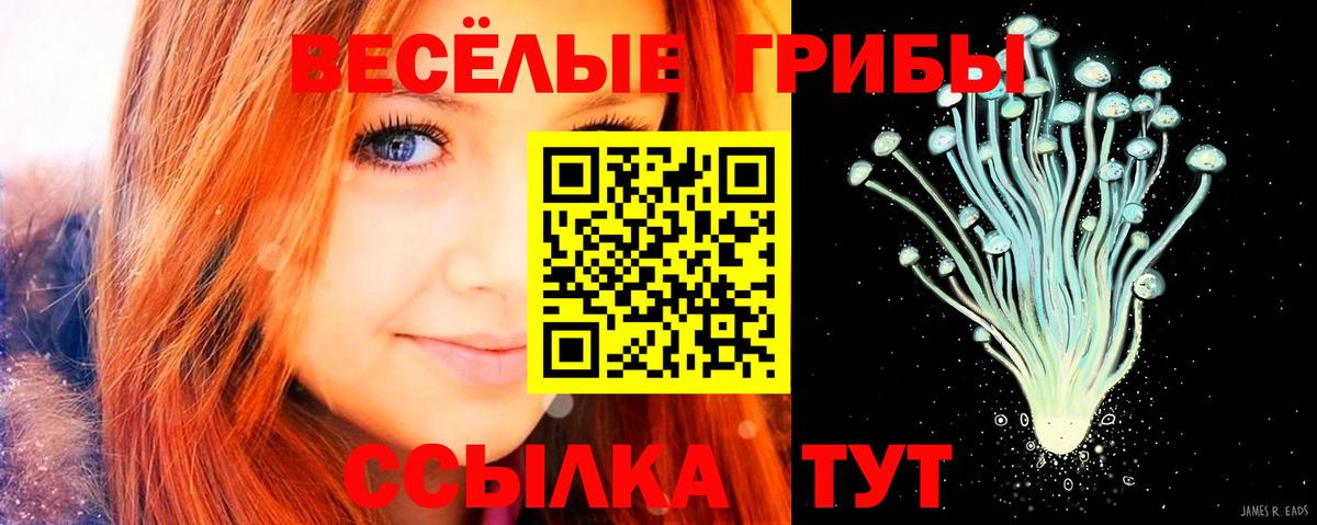 Псилоцибиновые грибы прущие грибы  Вход с VPN  Минеральные Воды 