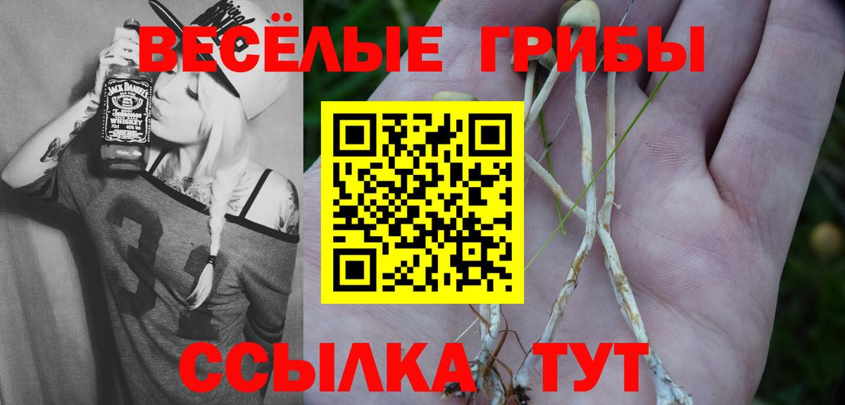 Галлюциногенные грибы Psilocybine cubensis  Псилоцибиновые грибы ЛСД  Минеральные Воды 